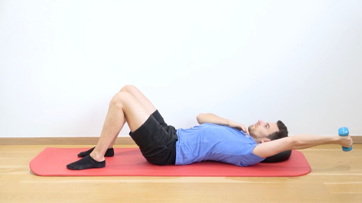 Renforcement extenseurs excentrique