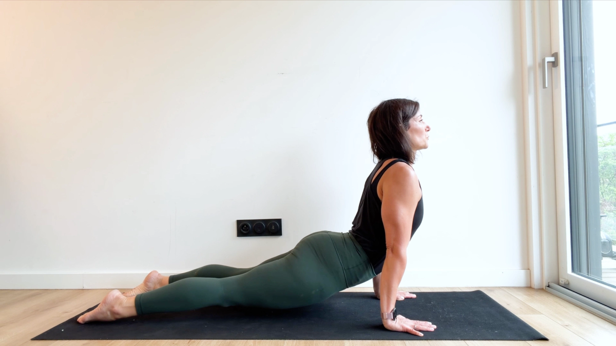 Chien tête en haut (« Urdhva Mukha Svanasana »)