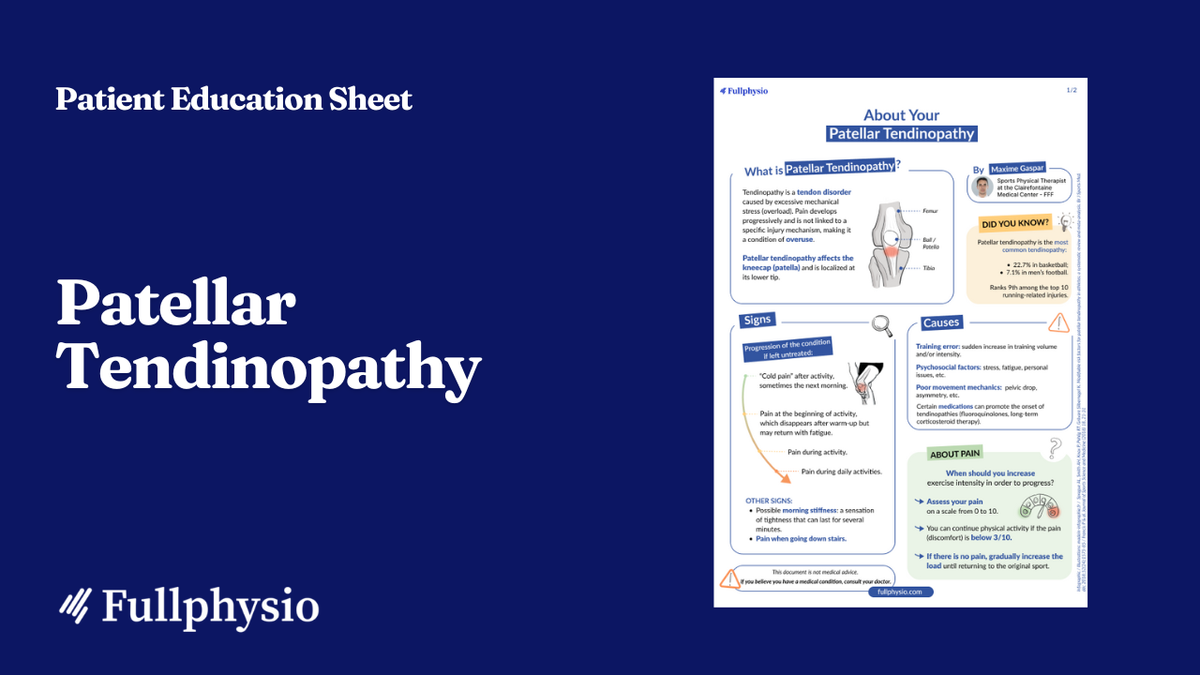 Patient Education – Patellar Tendinopathy