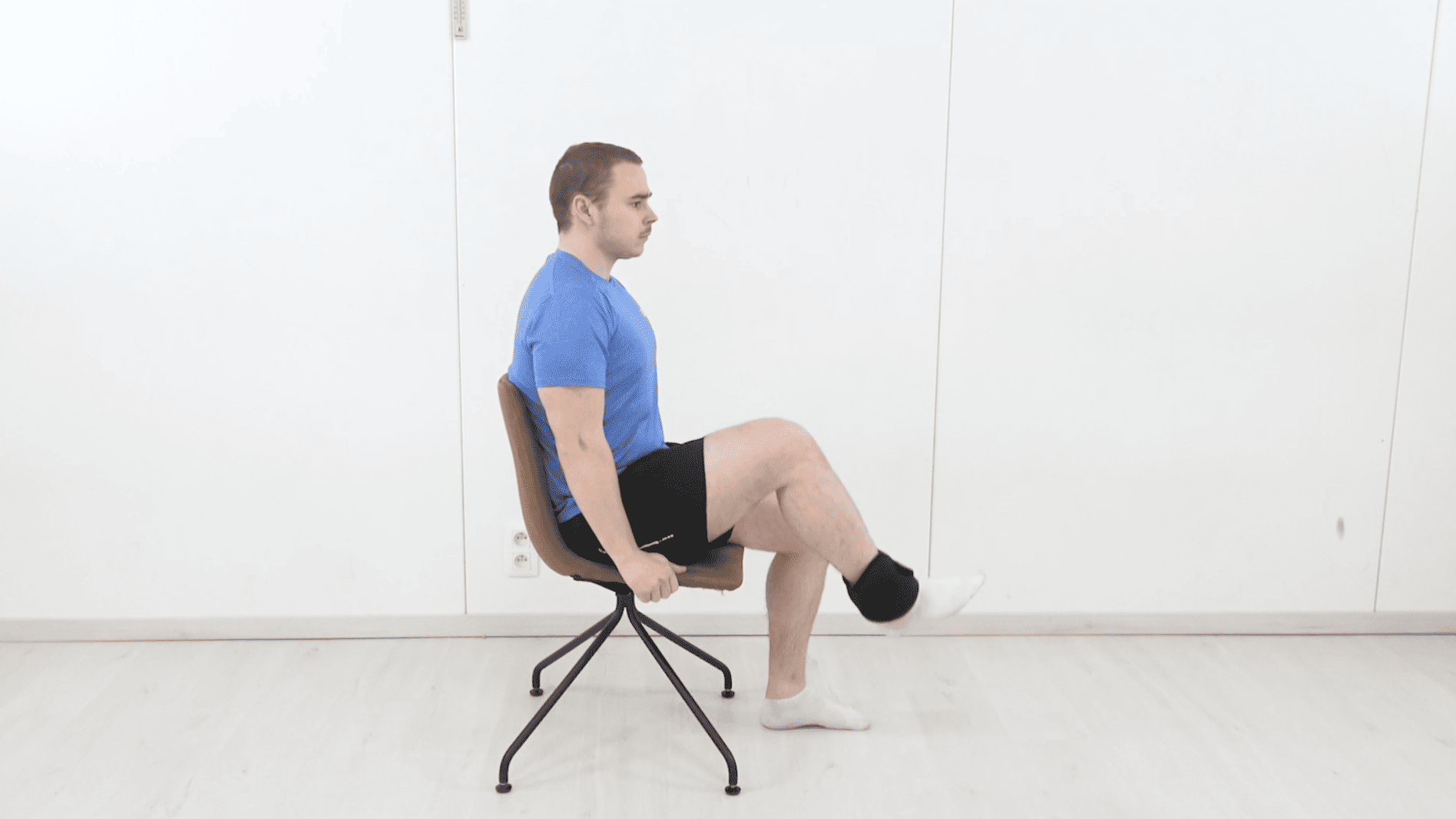 Seated Hip Flexion With Weight