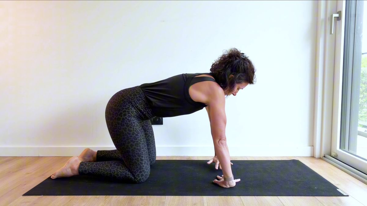 Quadruped Wrist Flexor Stretch