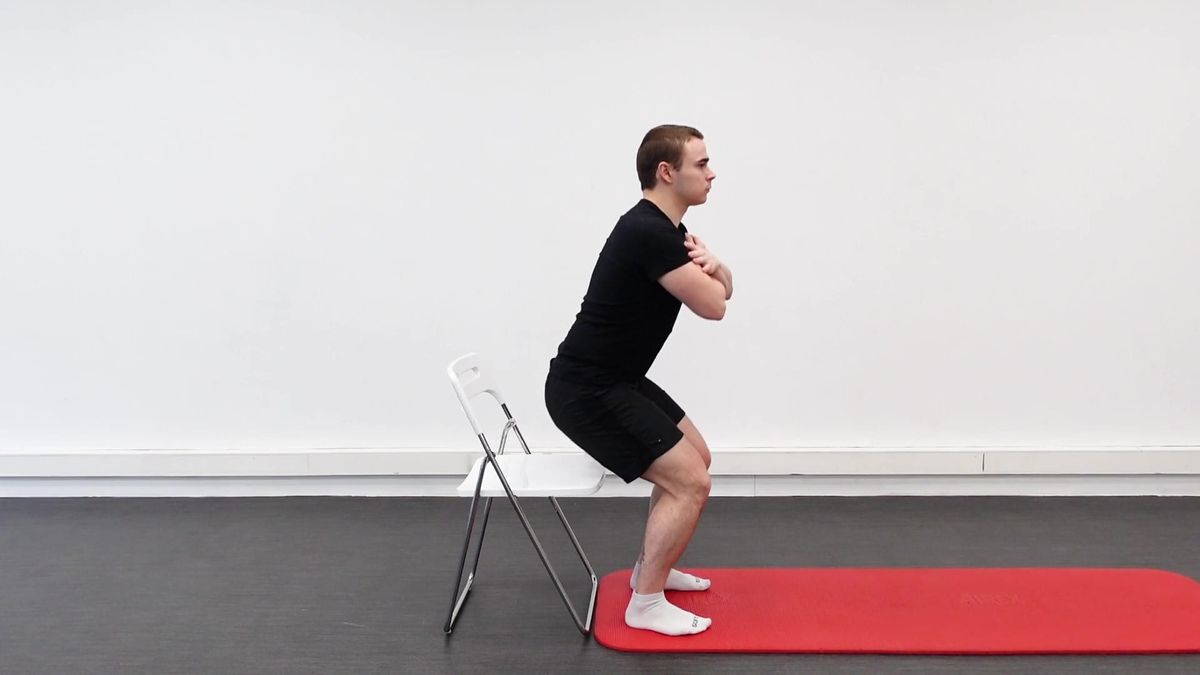 Assisted Squat
