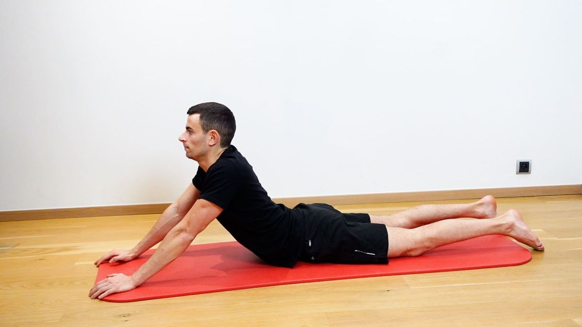 Sphinx Position