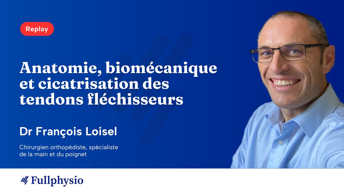 Anatomie, biomécanique et cicatrisation des tendons fléchisseurs