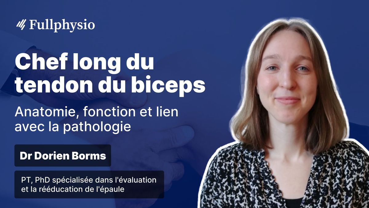 Chef long du tendon du biceps