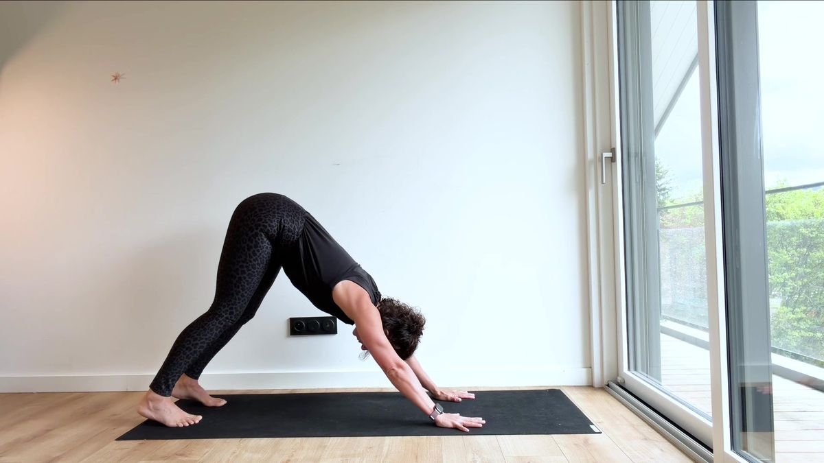 Flow « Vinyasa », planche vers chien tête en bas