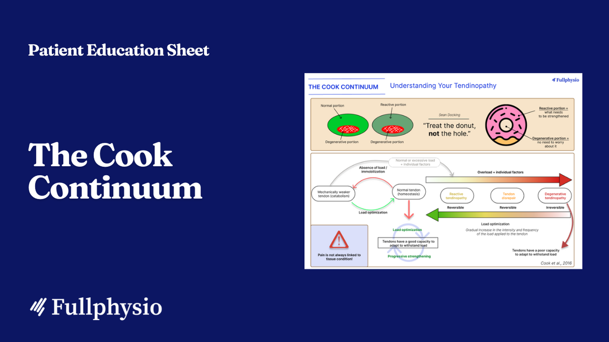 Understanding Your Tendinopathy (The Cook Model)