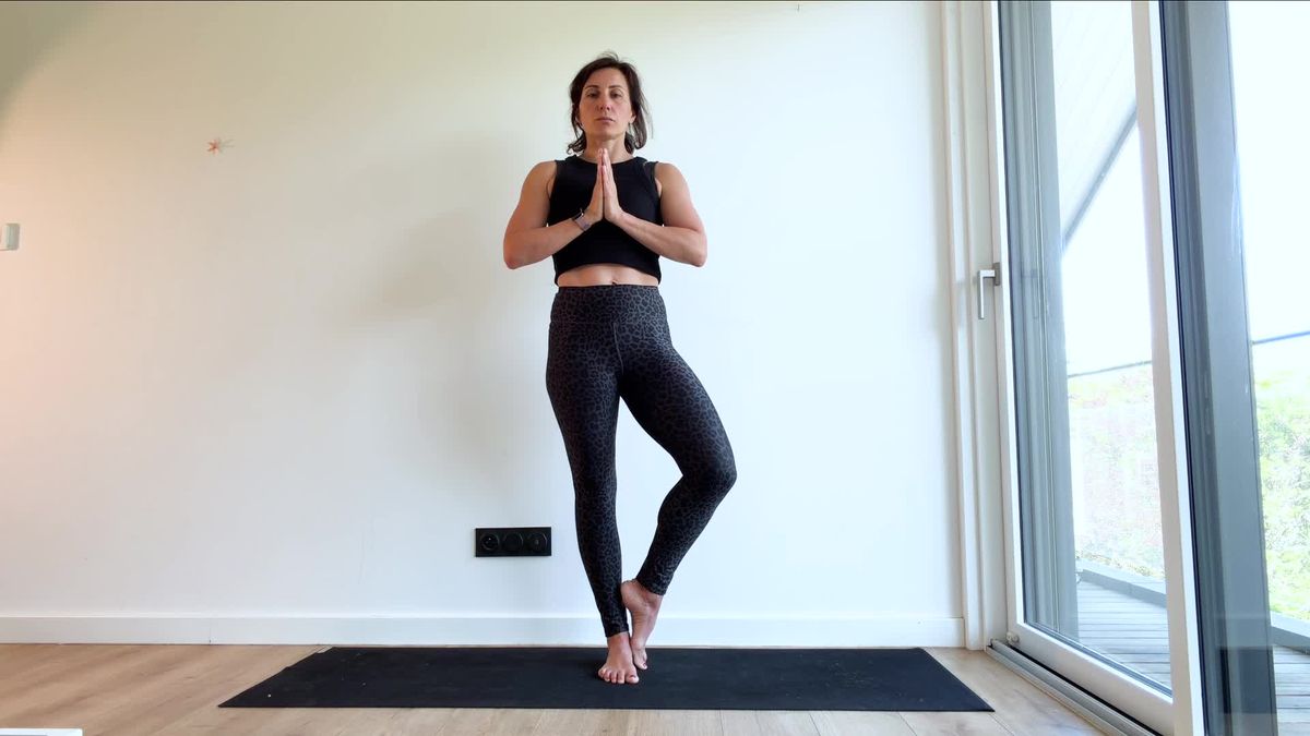 Tree Pose With Foot on Calf ("Vrksasana")