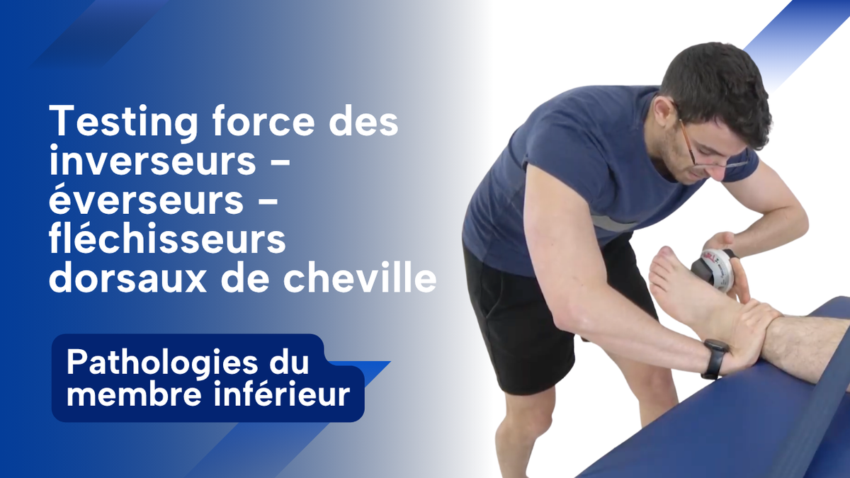 Testing inverseurs, éverseurs, fléchisseurs de la cheville