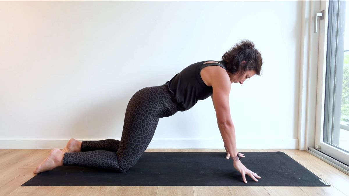 Alternating Weight Shifts Forward on Cupped Hands in Tabletop