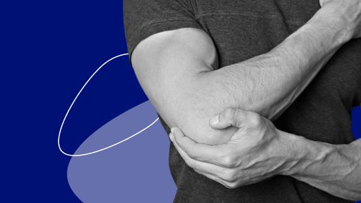 Lateral Region of the Elbow