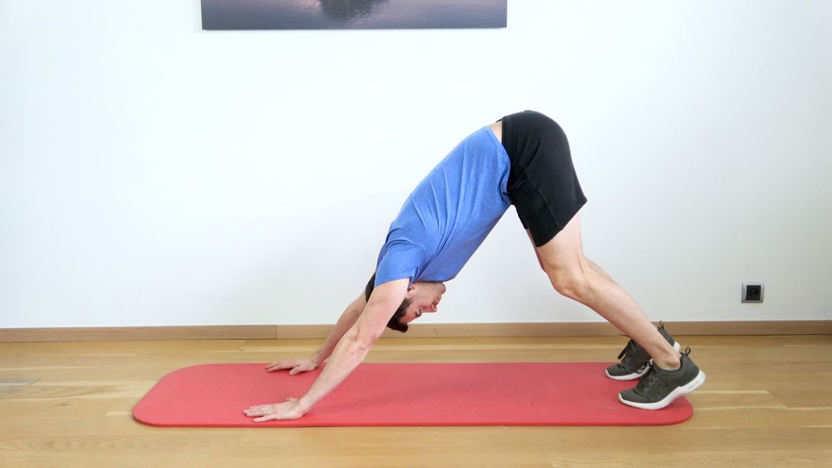 Lower Back Flexion / Extension