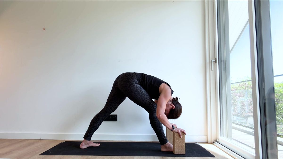Assisted Posterior Chain Stretch