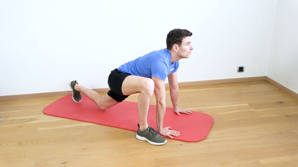 Alternate Hip Flexion Mobility
