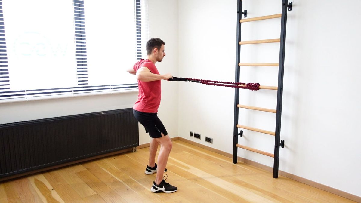 Wide Grip Rowing With Elastic Band