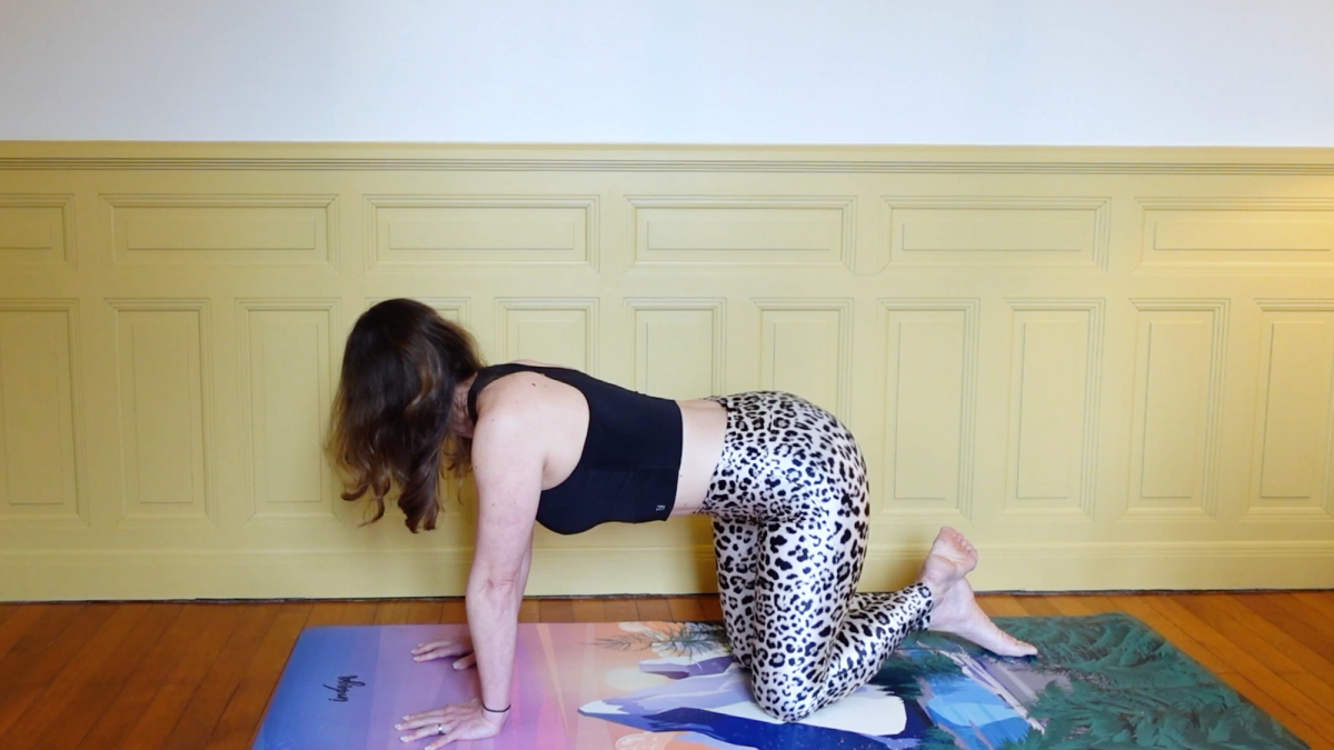 Tail wag avec rotations cervicales