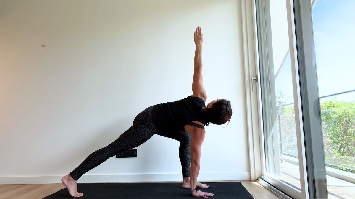 Revolved Side Angle Pose