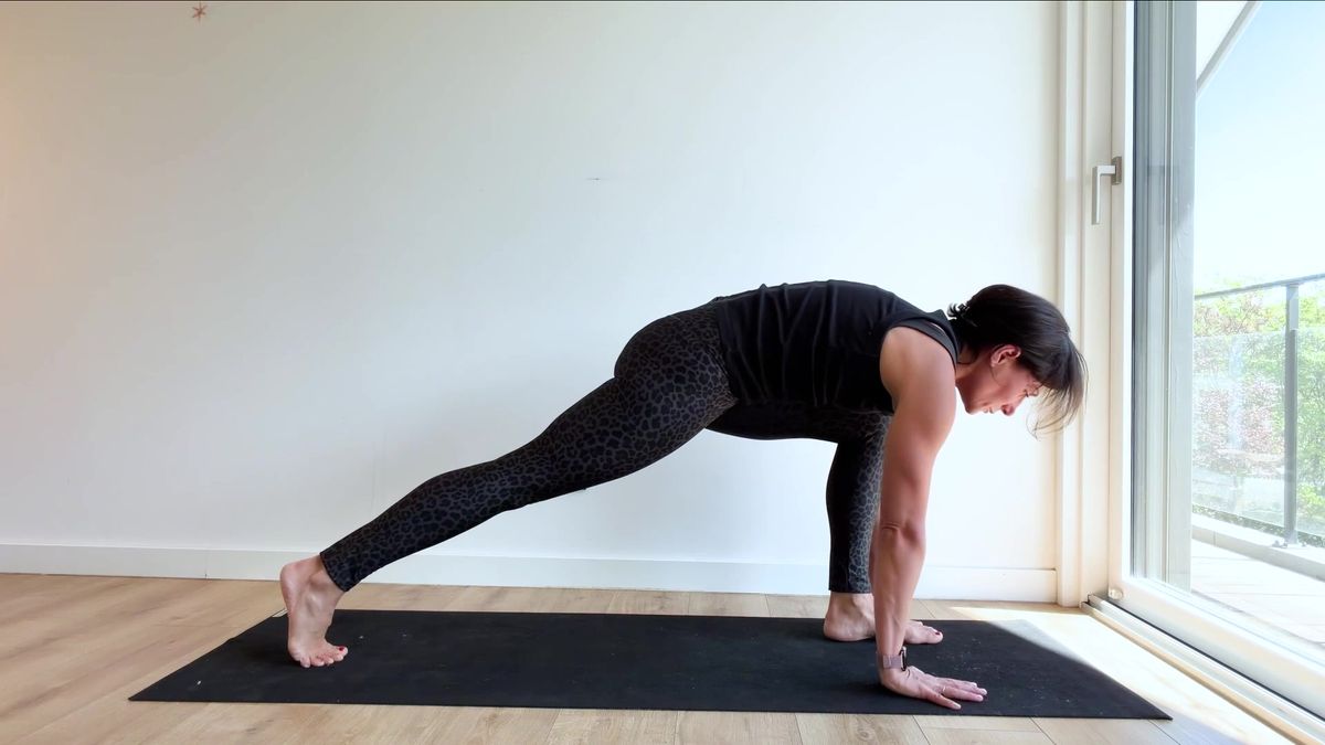 Downward-Facing Dog ("Adho Mukha Svanasana") To Lunge