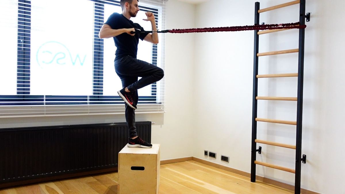Step Up on Box With Pull