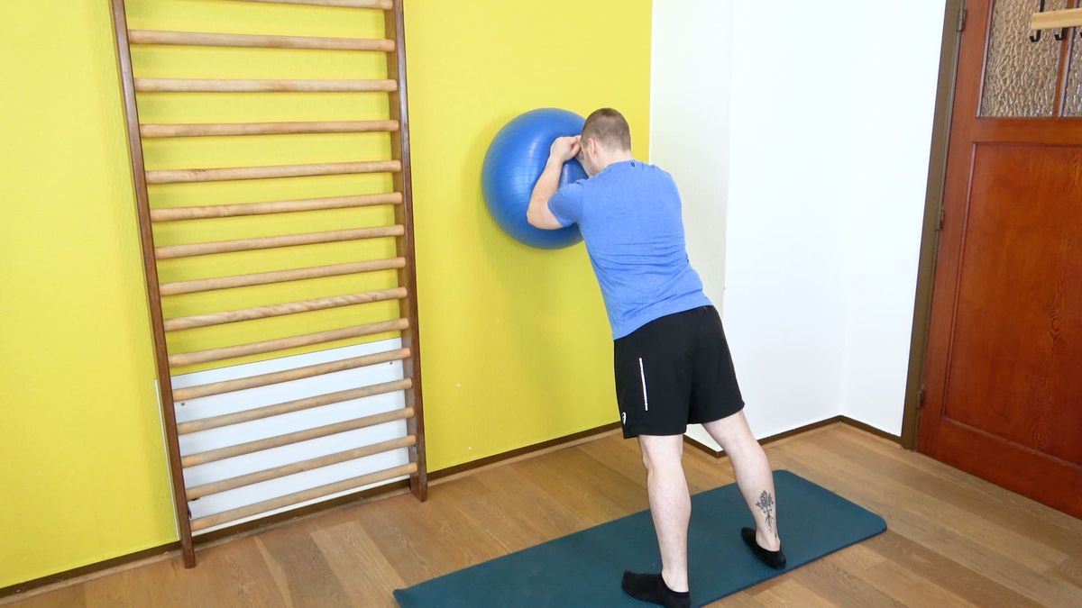 Wall Plank on Swiss Ball