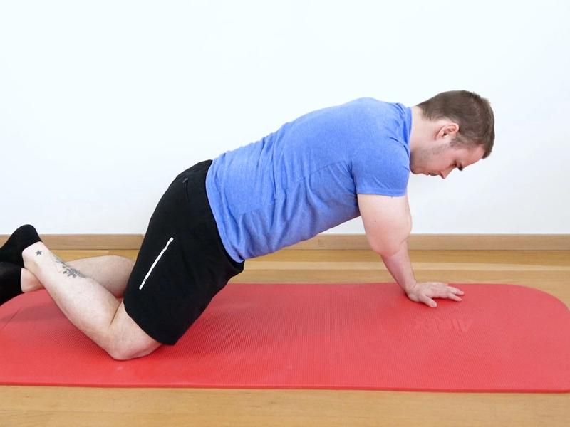 Dynamic Plank on Knees, view 2