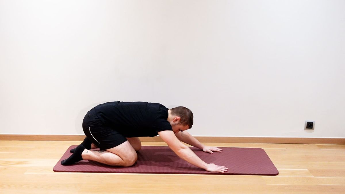 Flexion / Extension Mobilization in Quadruped Position