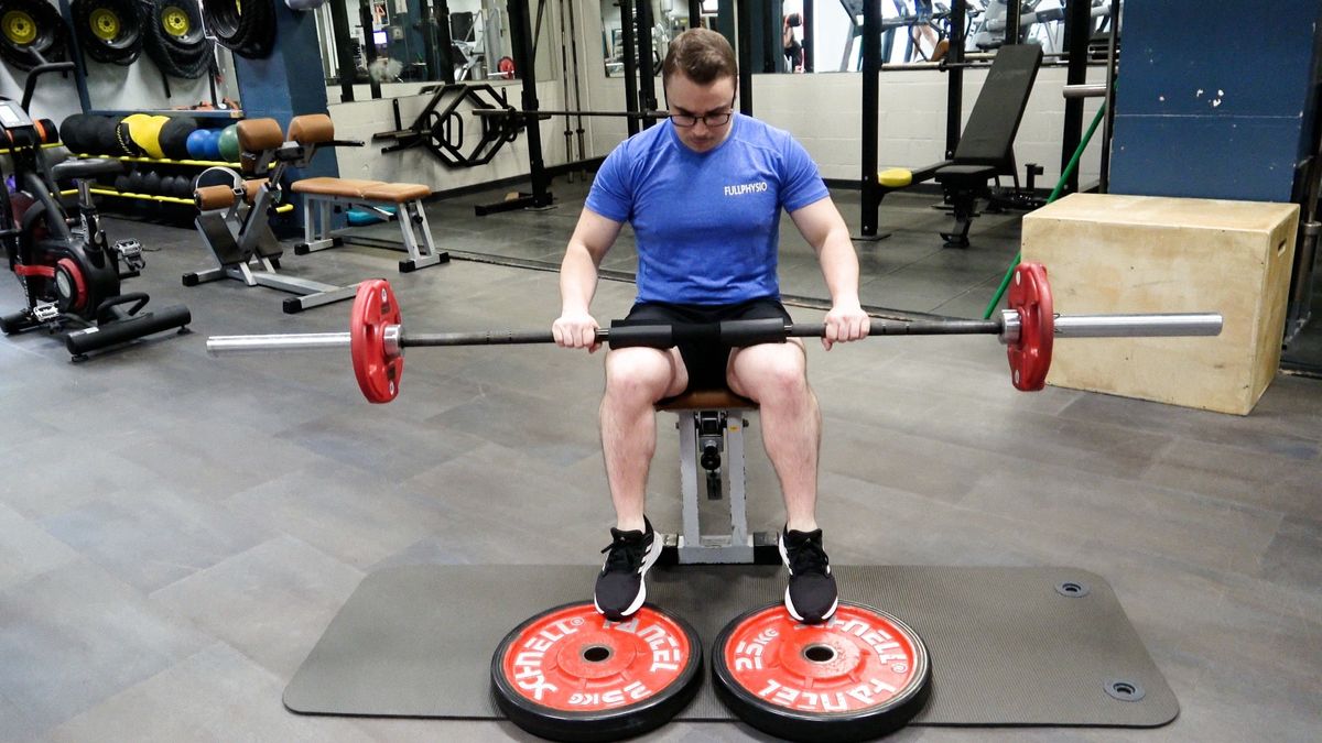 Seated Heel Raise and Dorsiflexion With Weight