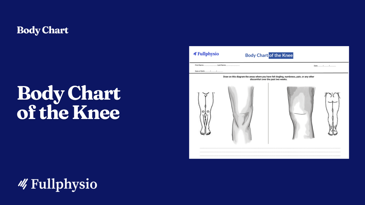 Body Chart of the Knee