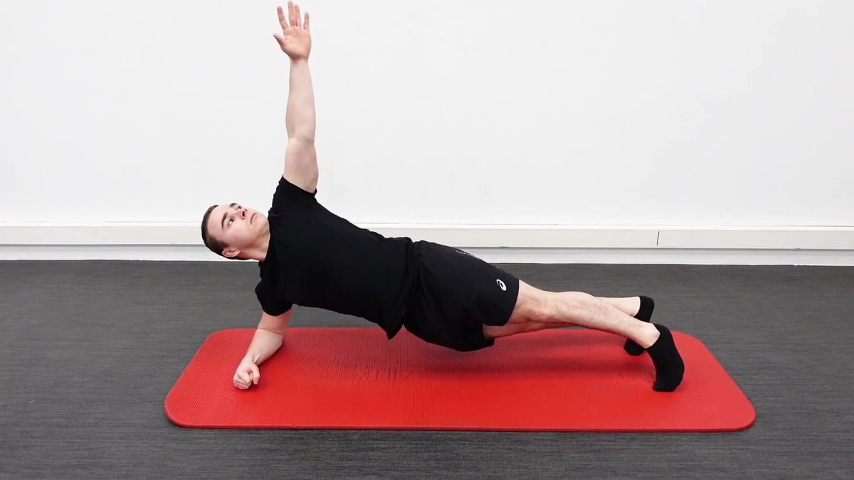 Motor Control With Trunk Stabilization