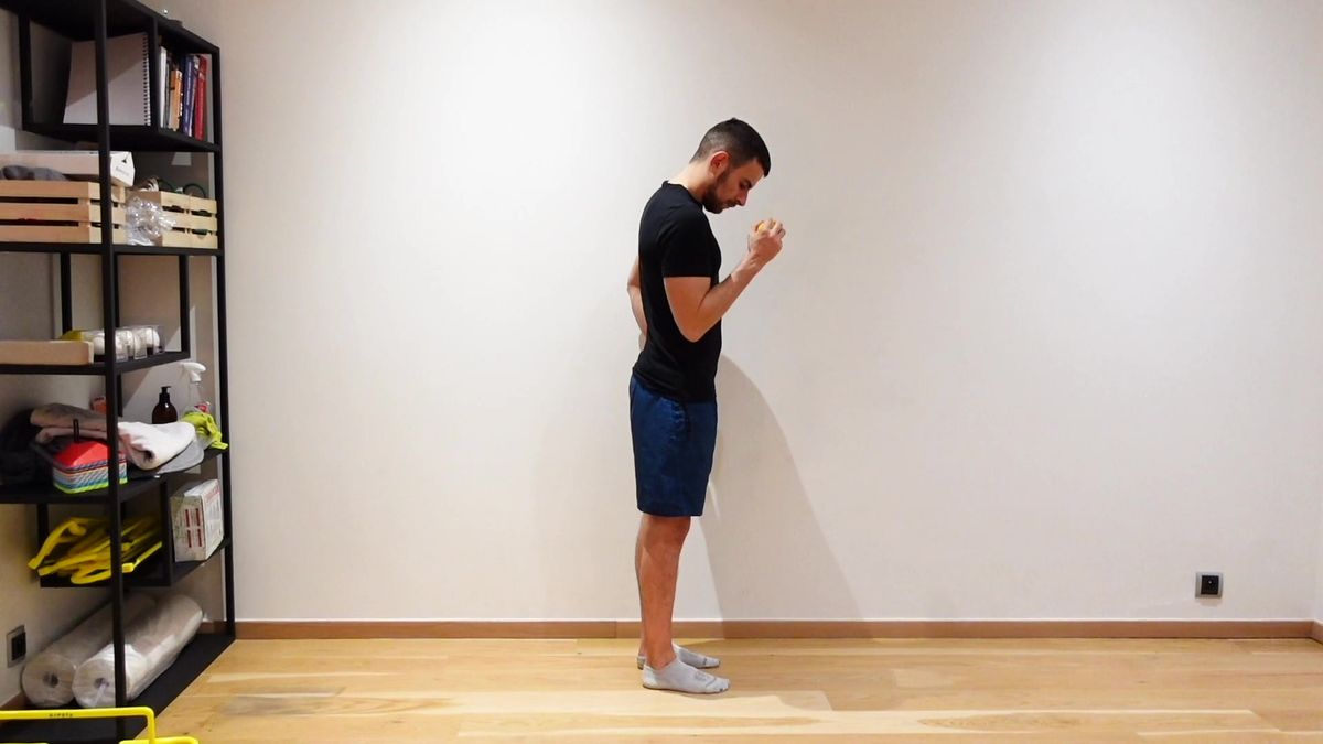 Forearm Flexion / Extension With Ball