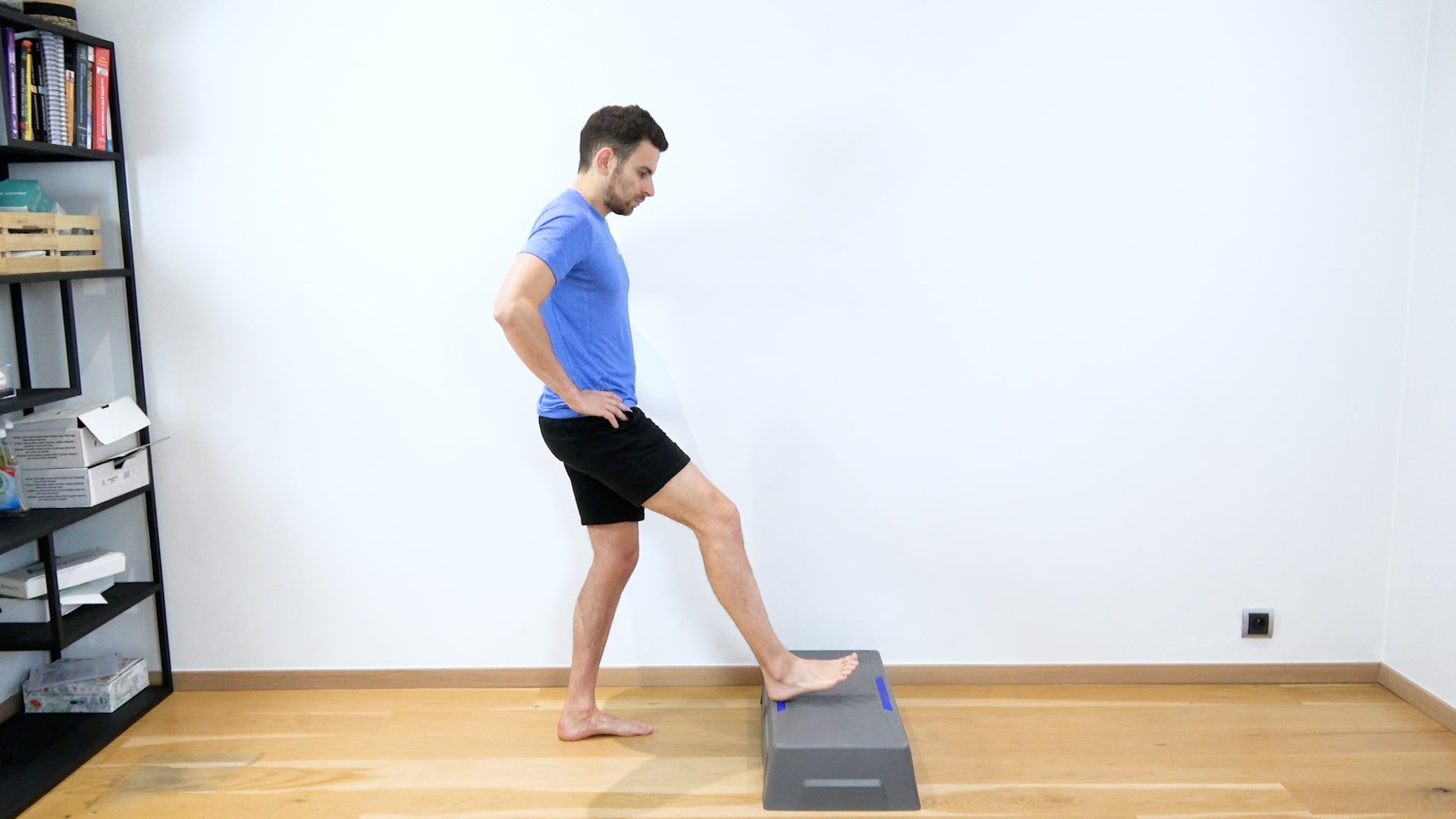 Lower Limb Support, view 1