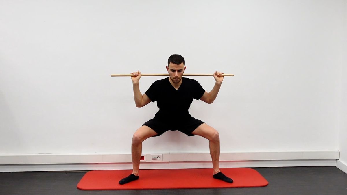 Frog Squat