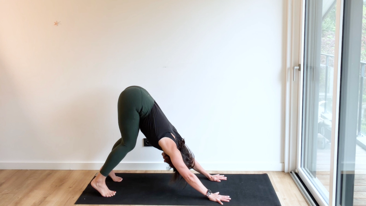 Downward-Facing Dog Pose