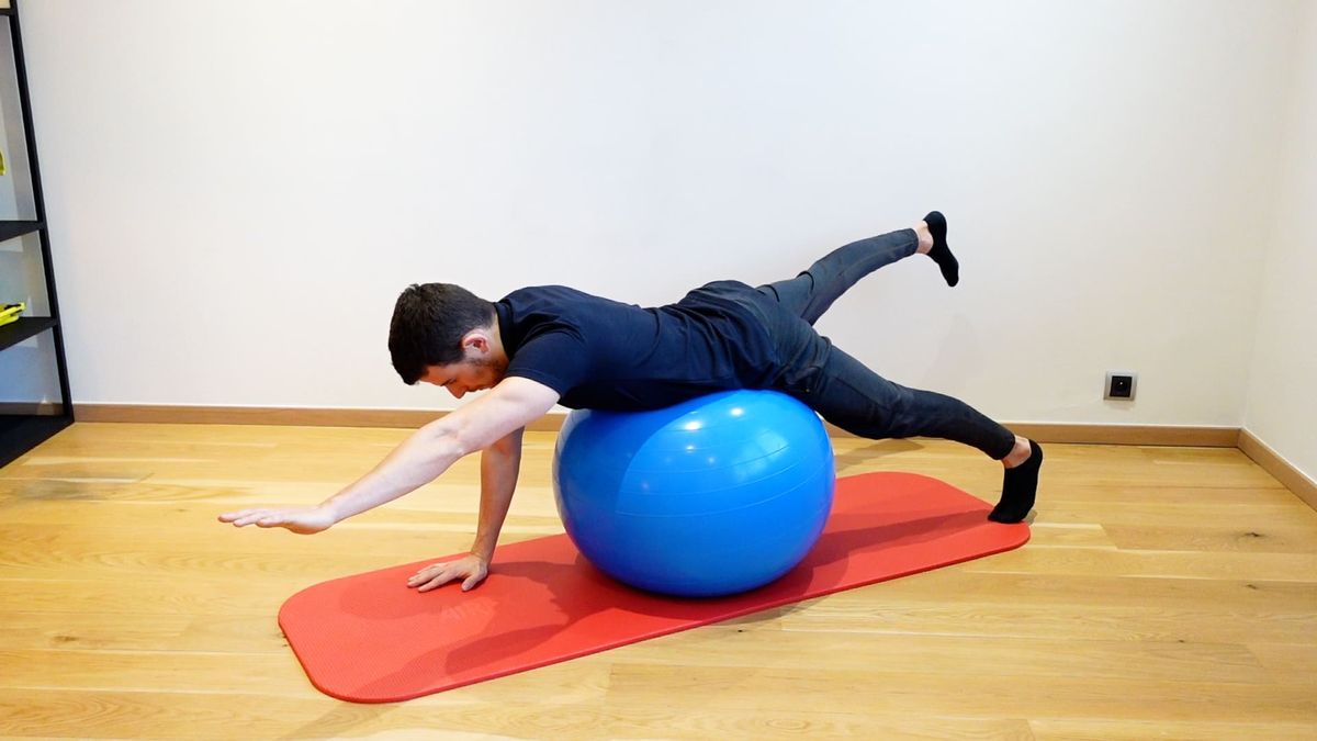Bird Dog on SwissBall