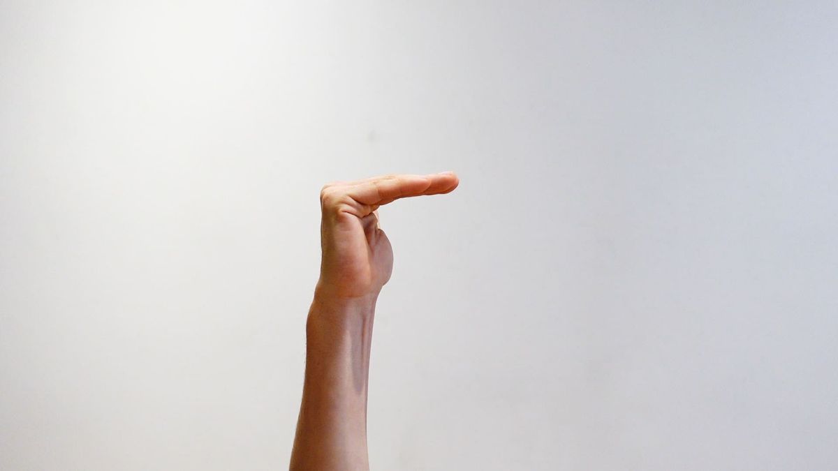 Metacarpophalangeal Flexion