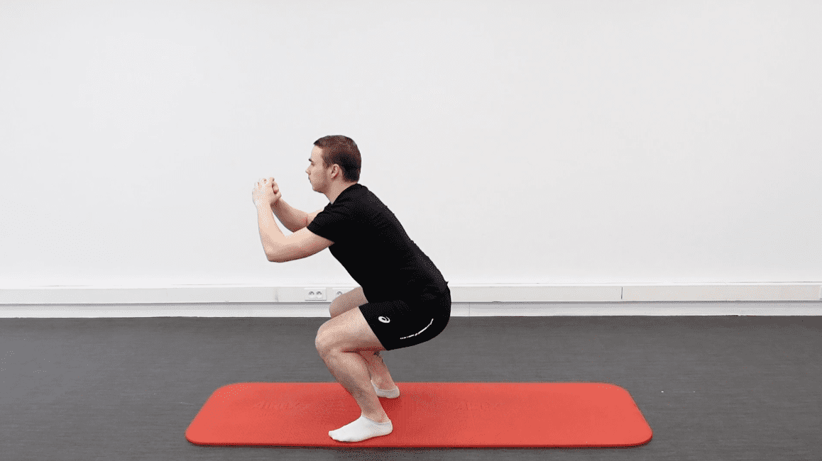 Squat, vue 2