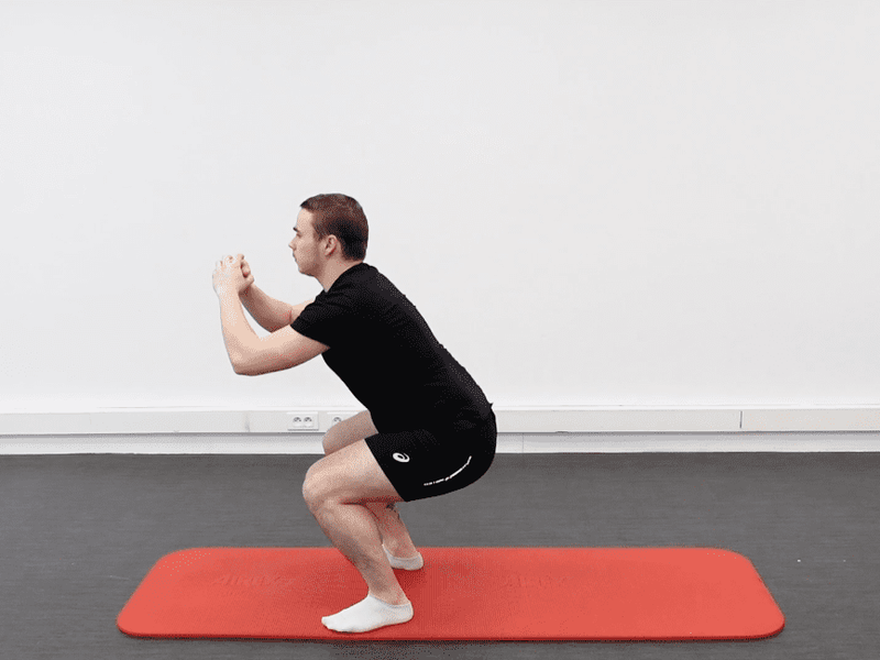 Squat, vue 2