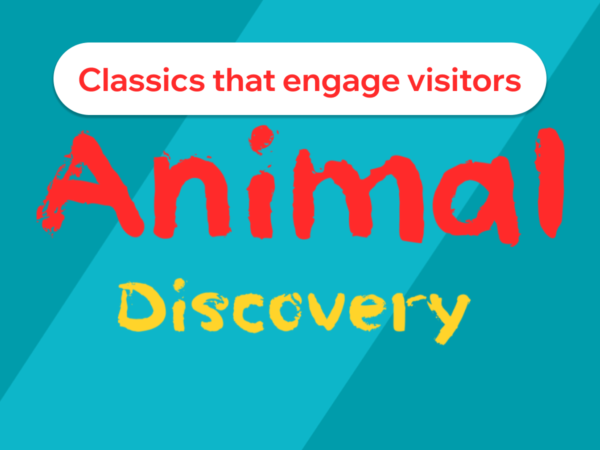 Animal Discovery Puzzle screenshot 1