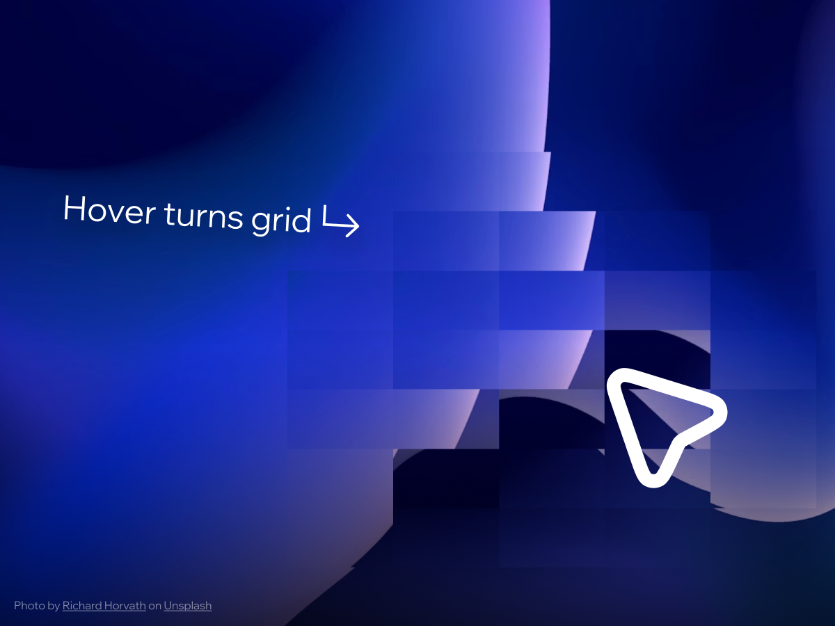 Grid Distortion screenshot 1