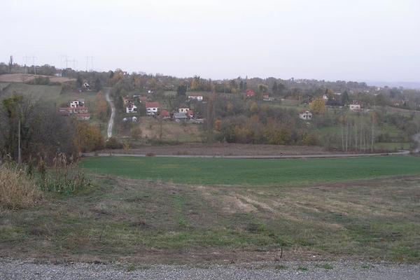 PLAC-PETNICA
