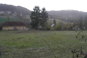 PLAC-PETNICA 5