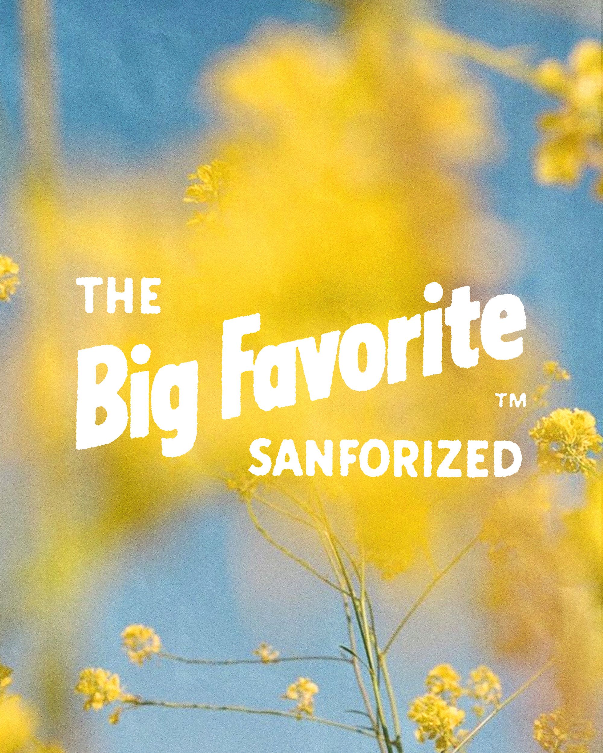 White "The Big Favorite" wordmark with printed ink bleed texture over shallow-focus yellow wildflowers on blue sky