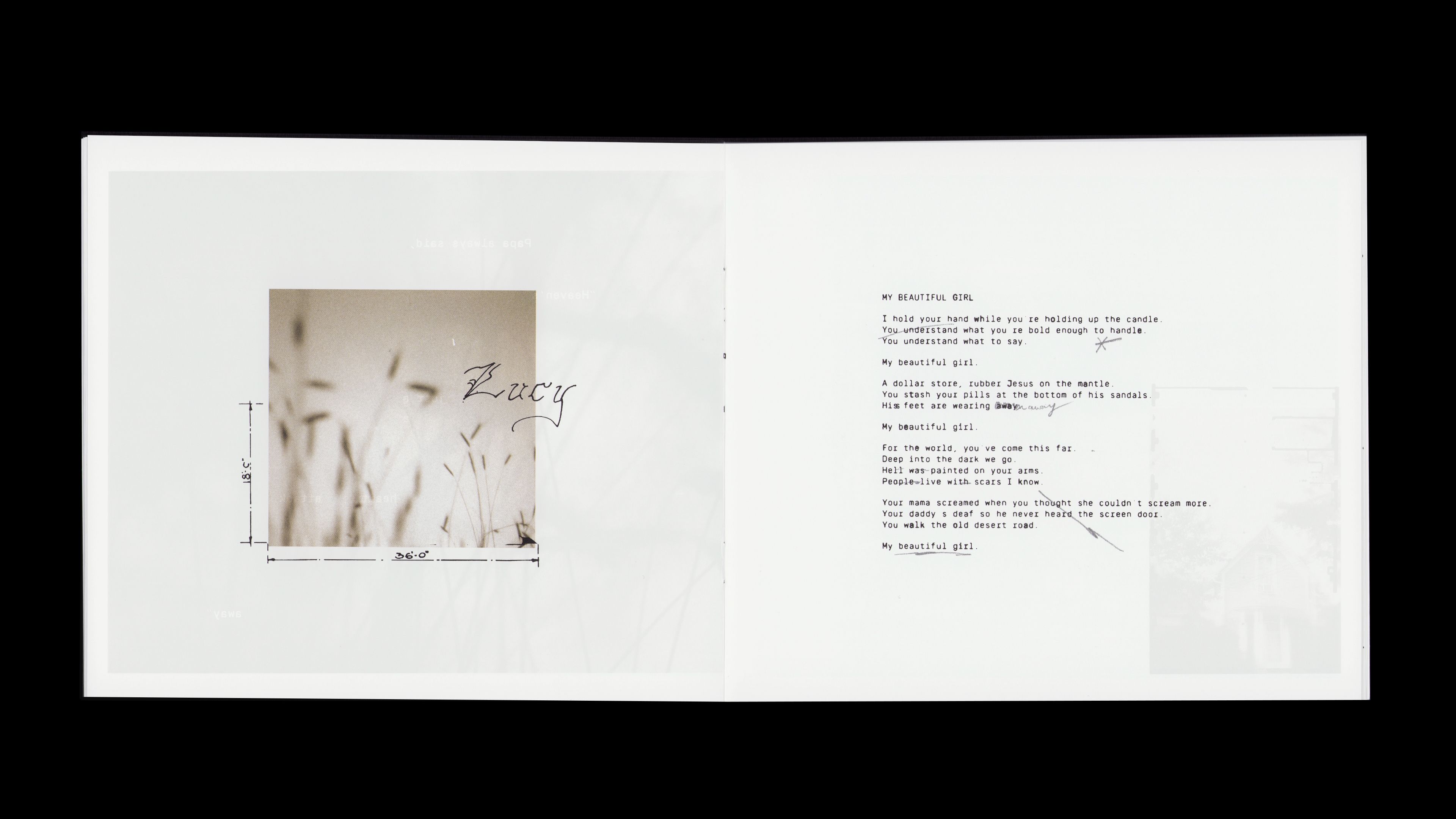 Youth Lagoon RDID booklet: B&W macro grass photo labeled 'Lucy' with dimensions, 'My Beautiful Girl' lyrics right