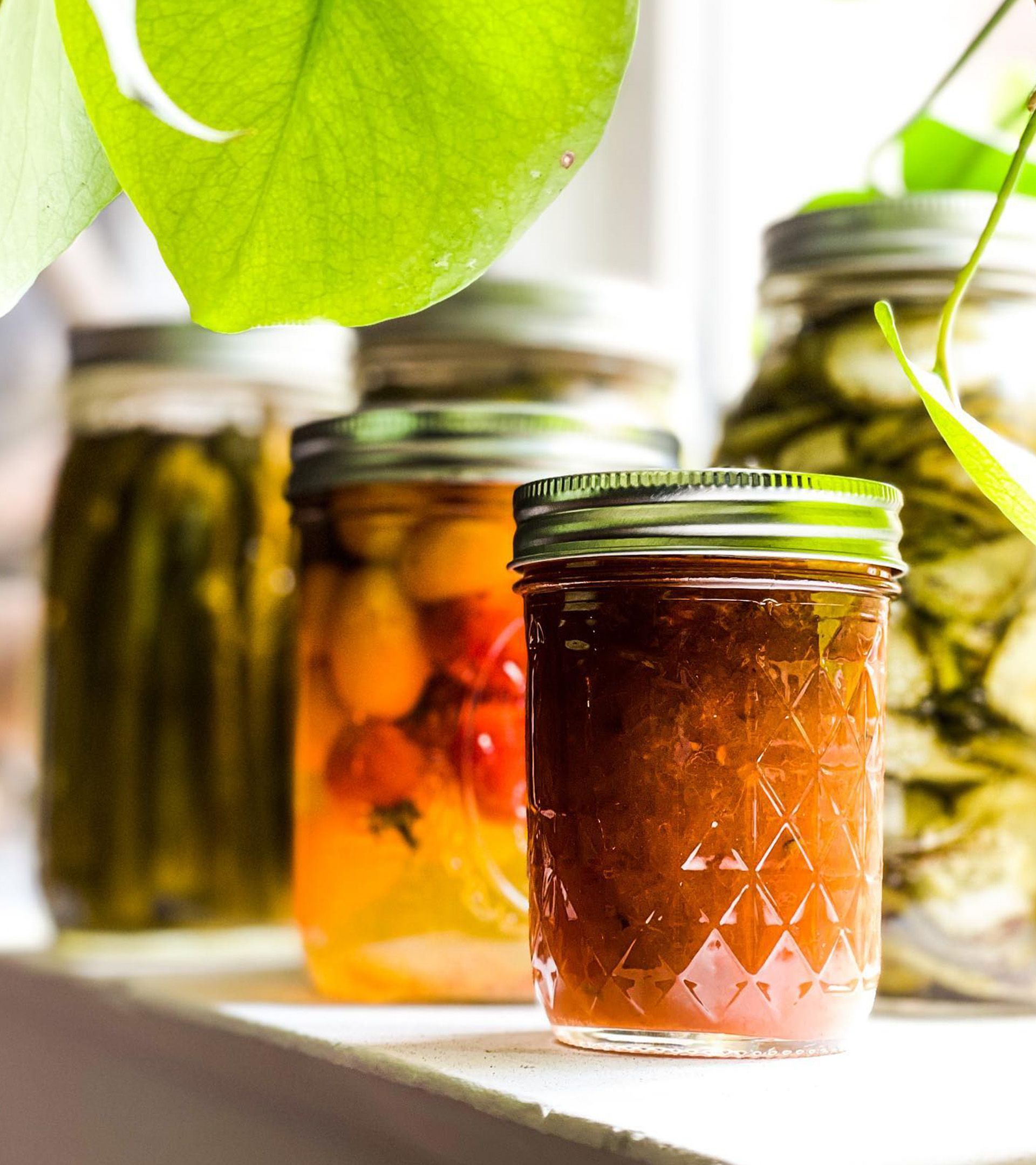 Forage pantry: mason jars of jam, pickled tomatoes, cucumbers on sunlit windowsill, house-made preserves