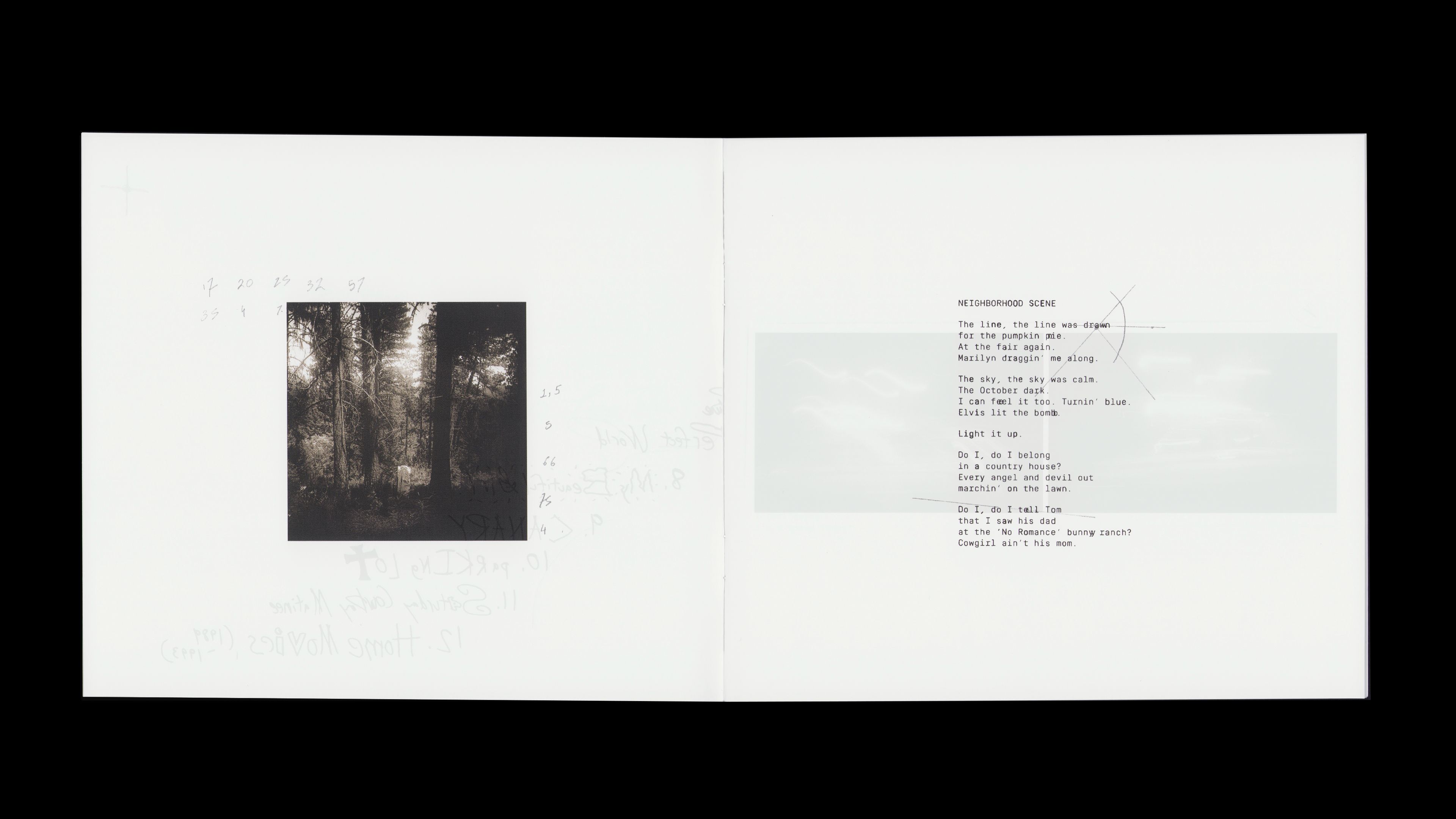 Youth Lagoon RDID booklet: B&W forest photograph, 'Neighborhood Scene' typewritten lyrics, orbit diagram ghost