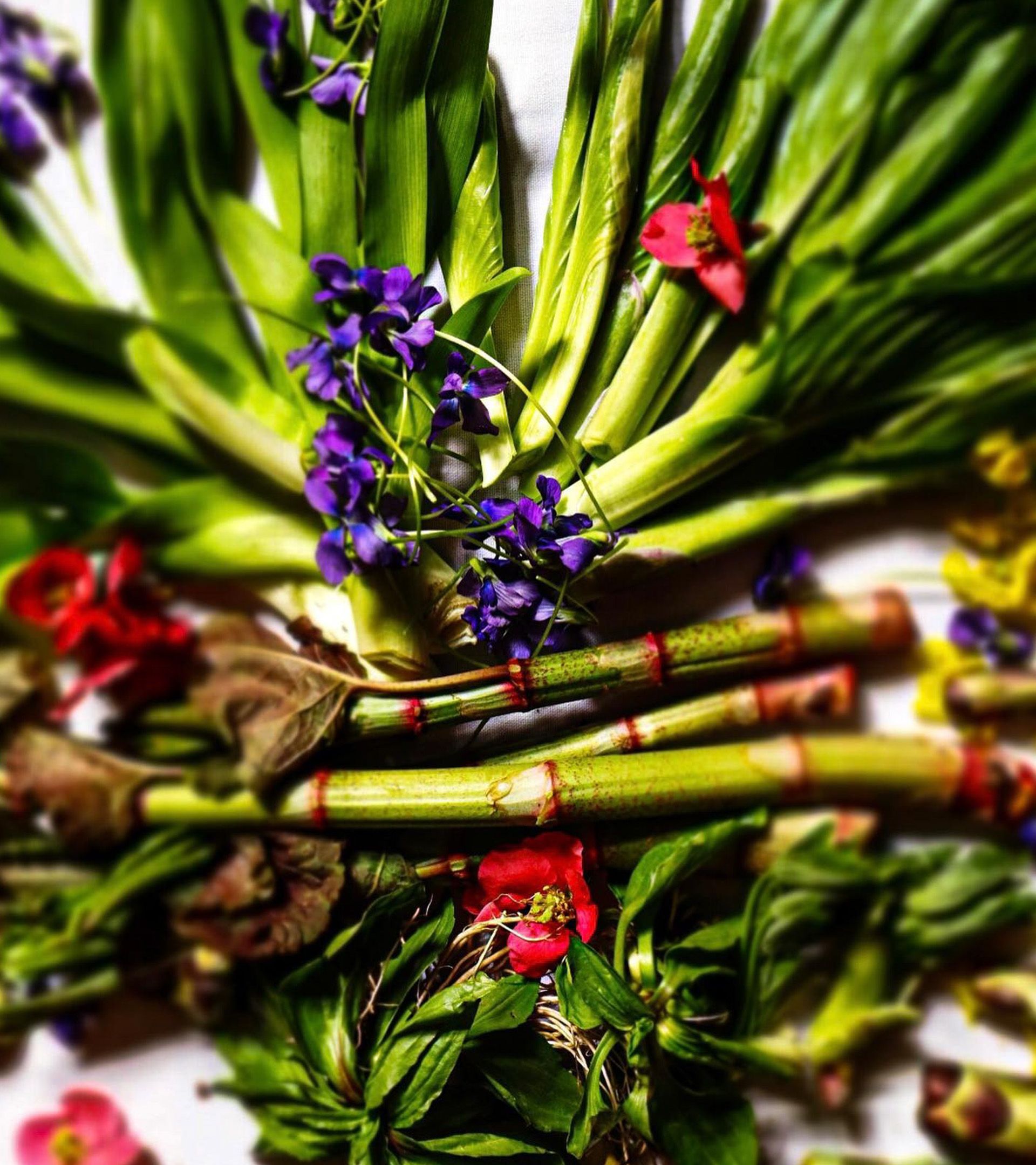 Forage ingredients: bundled wild ramps, violets, red wildflowers, basil arranged on white