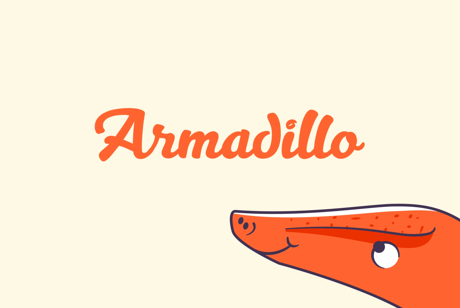 Orange text "Armadillo" above a cartoon armadillo head.