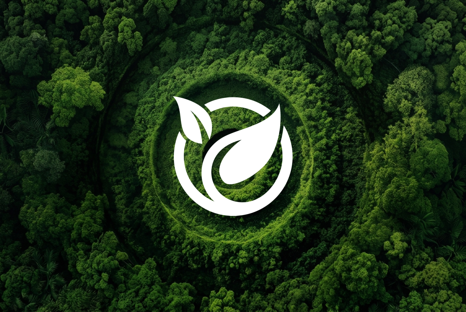 White circular logo with a leaf and drop, set in a circular clearing of a dense green forest.