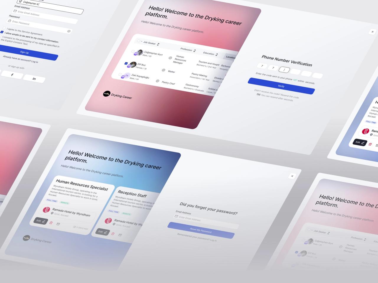 DryKing · Kariyer Platformu Onboarding Sayfaları