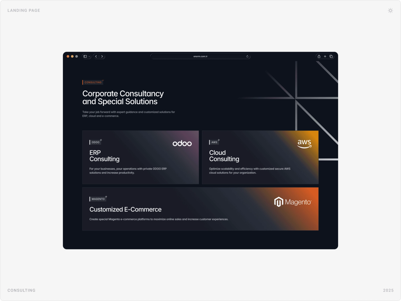 “Corporate Consultancy and Special Solutions” desktop section with ERP Consulting, Cloud Consulting and Customized E-Commerce cards